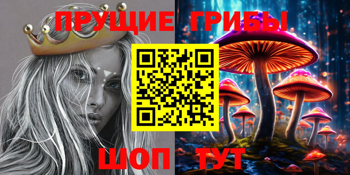 Псилоцибиновые грибы Psilocybine cubensis Карачаевск