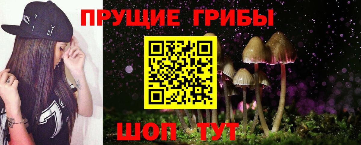 Карачаевск  Псилоцибиновые грибы Psilocybine cubensis  Галлюциногенные грибы мухоморы  Вход с VPN 